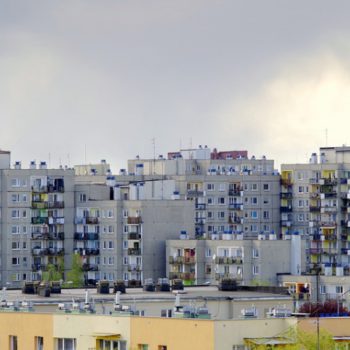 Eliminamos cucarachas de su comunidad de vecinos