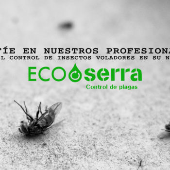 Descuento FlyTrap para el control de moscas
