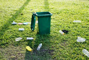 gestión de basuras para eliminar plagas de palomas y otras aves