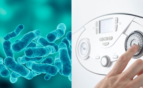 legionella en termos electricos